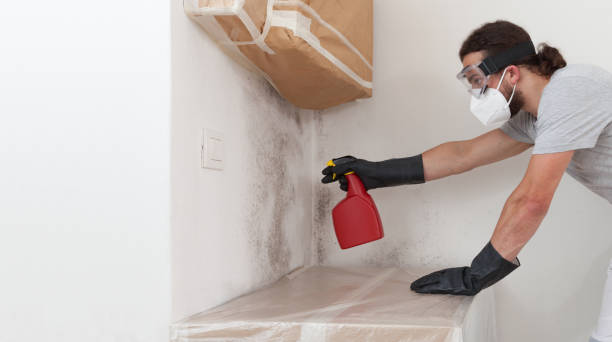 Professional Black Mold Remediation technician working in Cedar Grove, FL