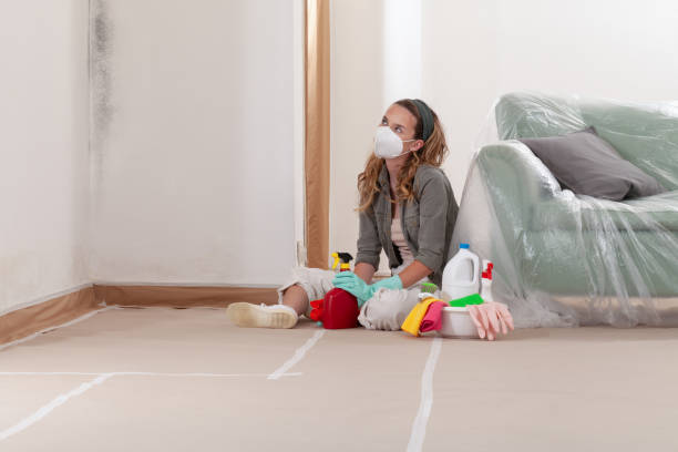 Reliable Black Mold Remediation contractor in Cedar Grove, FL by 24 Hour Mold Removal